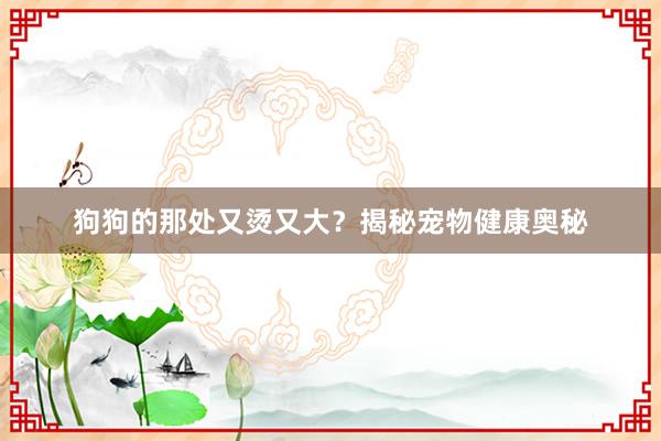 狗狗的那处又烫又大？揭秘宠物健康奥秘